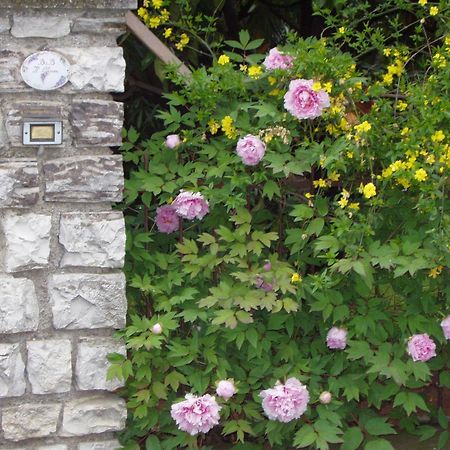 B&B Il Glicine Bedizzole Exteriör bild