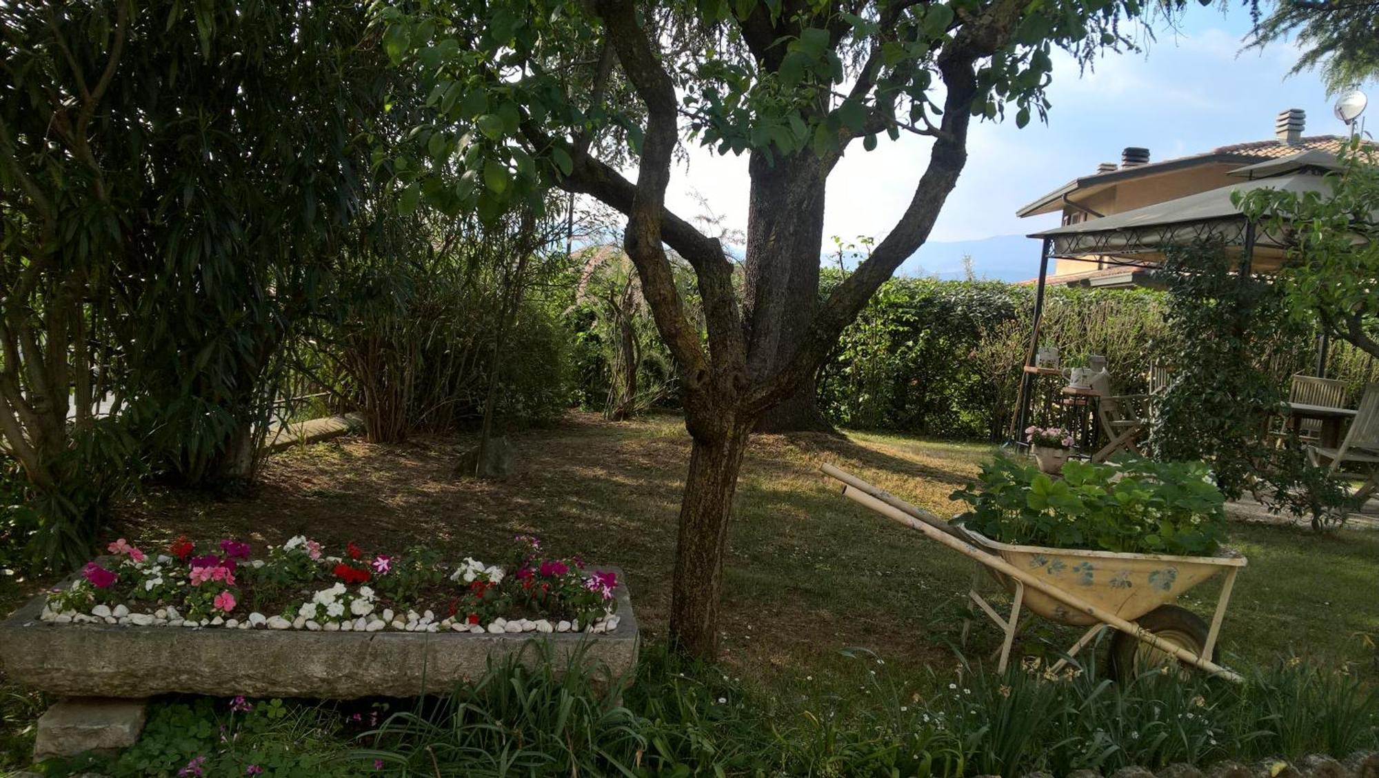 B&B Il Glicine Bedizzole Exteriör bild