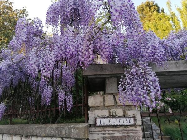 B&B Il Glicine Bedizzole Exteriör bild