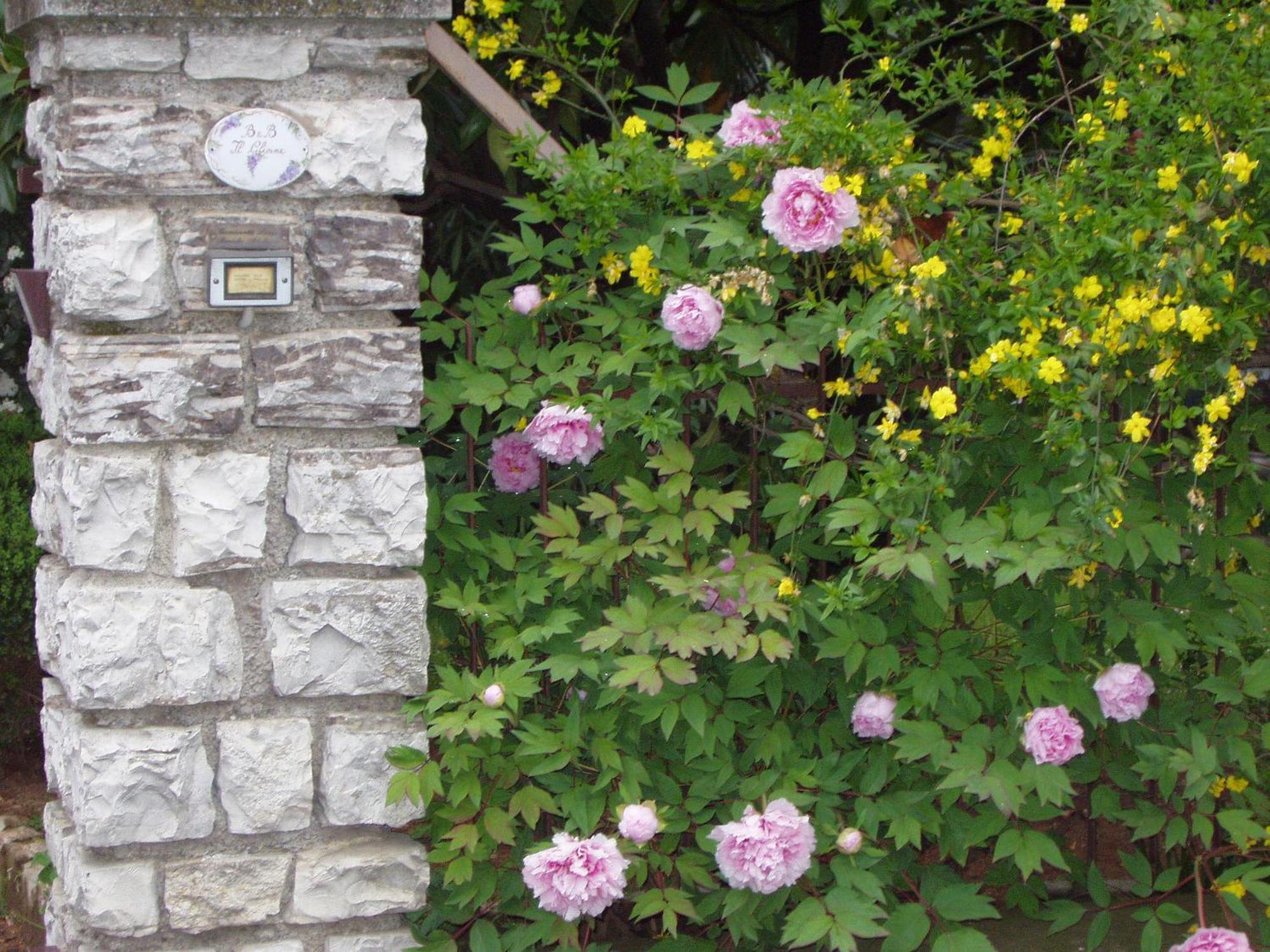 B&B Il Glicine Bedizzole Exteriör bild