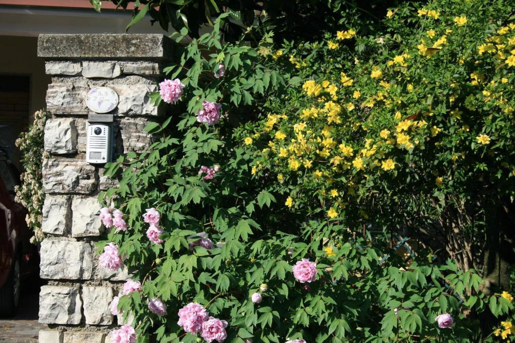 B&B Il Glicine Bedizzole Exteriör bild
