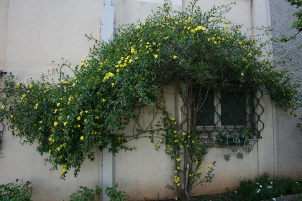 B&B Il Glicine Bedizzole Exteriör bild